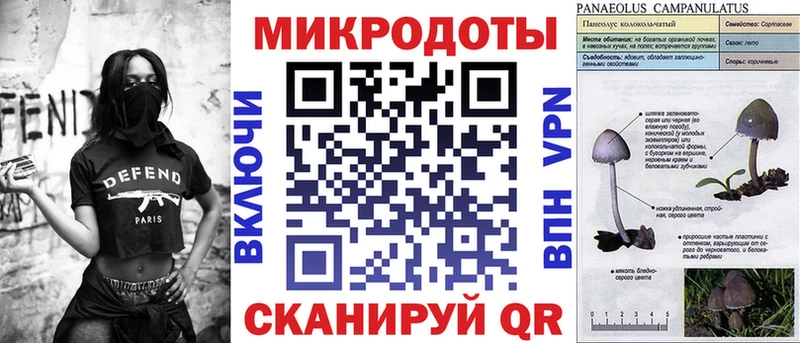 Псилоцибиновые грибы GOLDEN TEACHER  даркнет сайт  Пудож 
